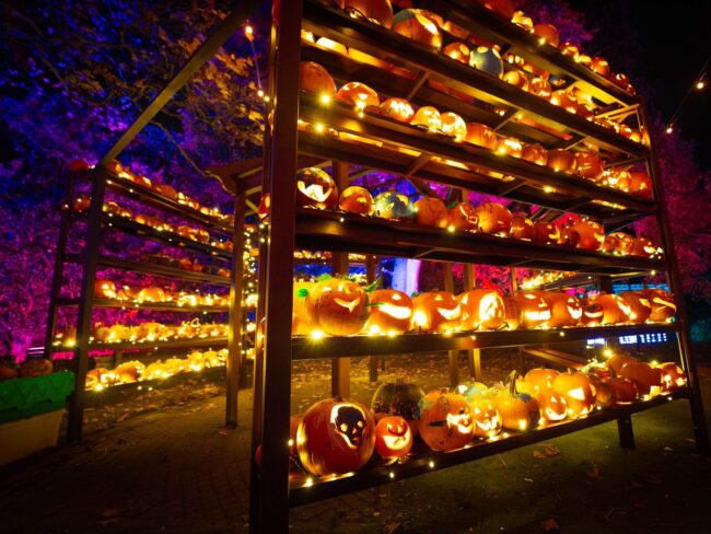 Eurotunnel_LeShuttle_Halloween_Glasgow_GranBretaña_2025_II