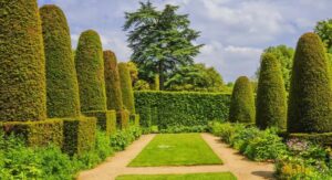 Dé un paseo por el jardín de columnas de Hidcote Manor.